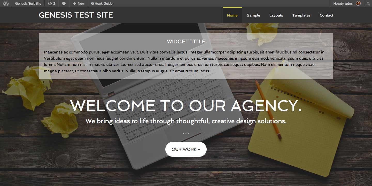 Adding a widget area below header in Agency Pro - Sridhar Katakam