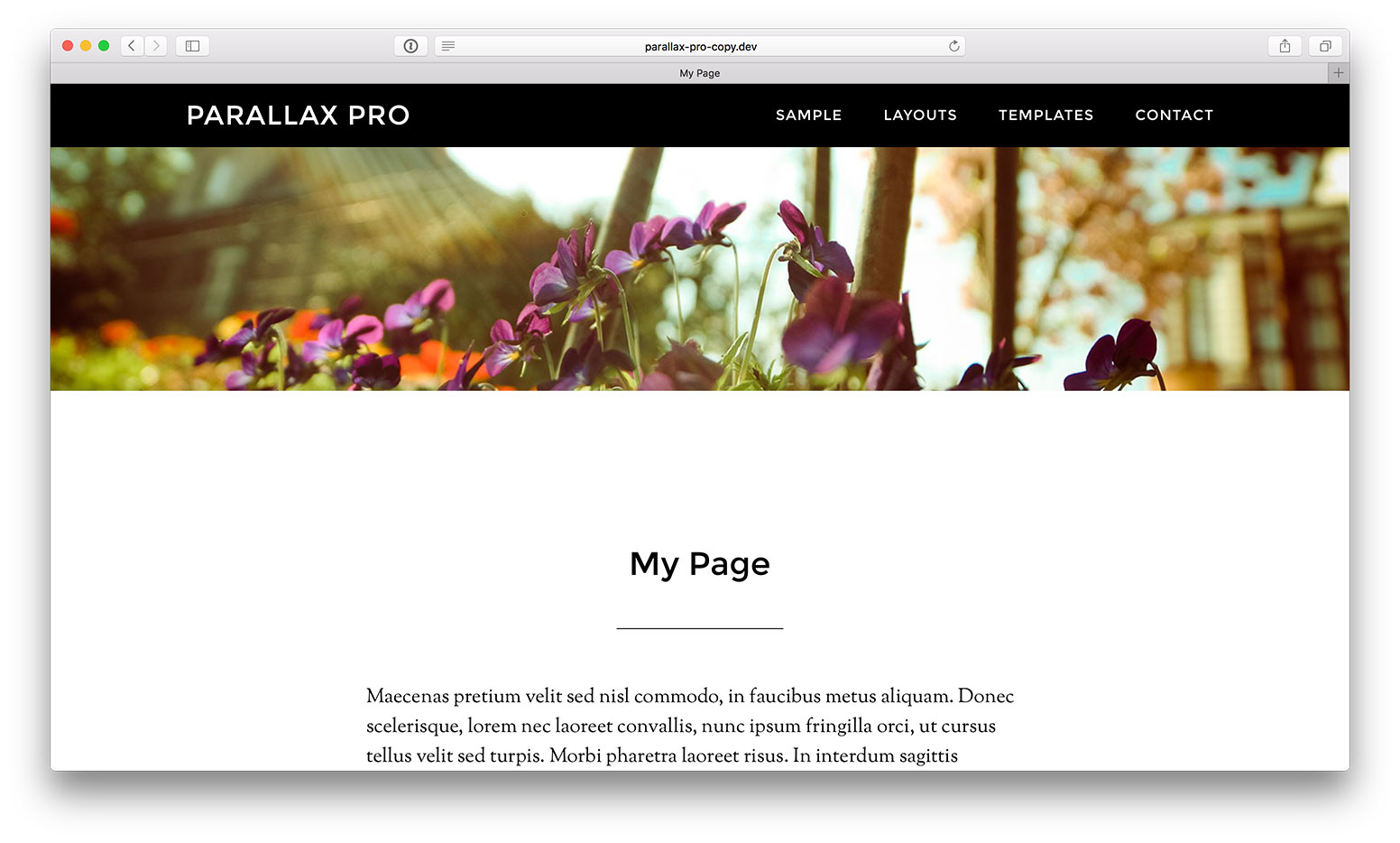 full-width-featured-image-header